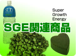SGE-b